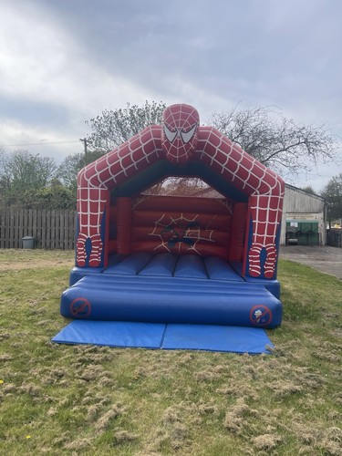 Spider man adult - adult, bouncy